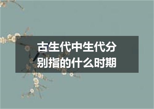 古生代中生代分别指的什么时期