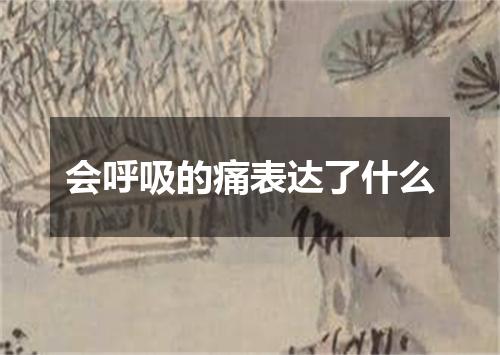 会呼吸的痛表达了什么