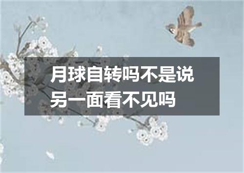 月球自转吗不是说另一面看不见吗