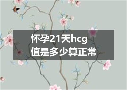 怀孕21天hcg值是多少算正常