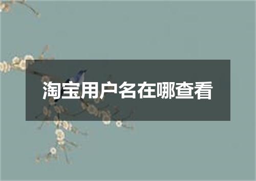 淘宝用户名在哪查看