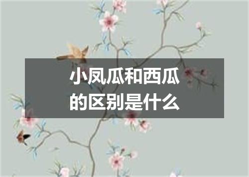 小凤瓜和西瓜的区别是什么