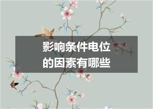 影响条件电位的因素有哪些