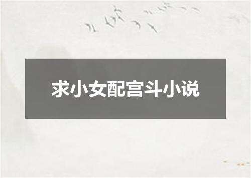 求小女配宫斗小说