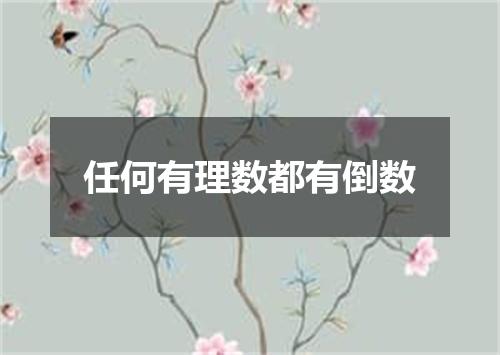 任何有理数都有倒数