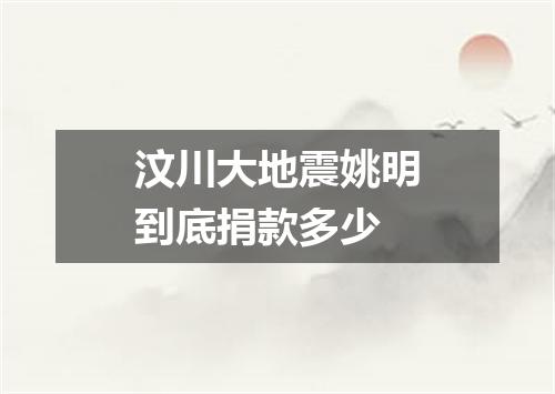 汶川大地震姚明到底捐款多少