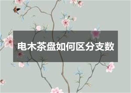 电木茶盘如何区分支数