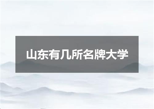 山东有几所名牌大学