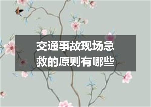 交通事故现场急救的原则有哪些