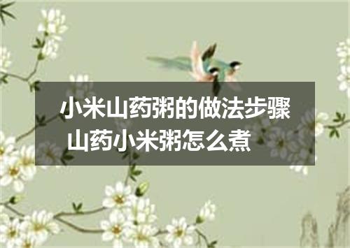 小米山药粥的做法步骤 山药小米粥怎么煮