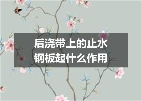 后浇带上的止水钢板起什么作用