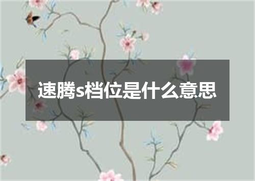 速腾s档位是什么意思