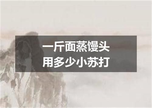 一斤面蒸馒头用多少小苏打