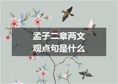 孟子二章两文观点句是什么