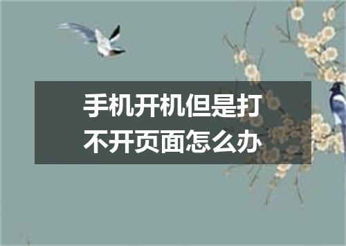 手机开机但是打不开页面怎么办