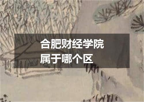 合肥财经学院属于哪个区