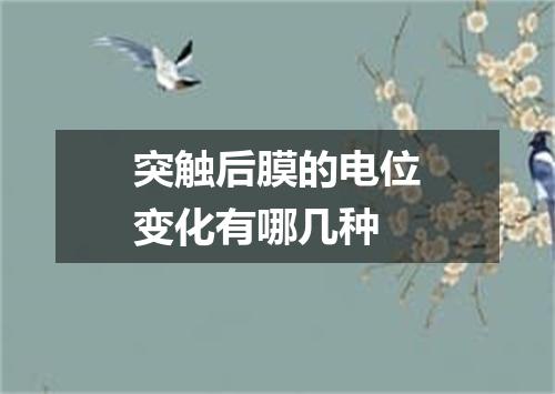 突触后膜的电位变化有哪几种