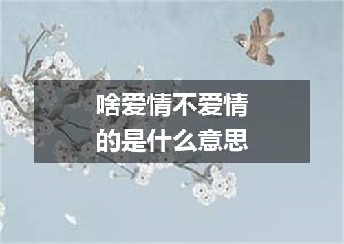 啥爱情不爱情的是什么意思