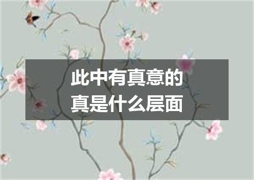 此中有真意的真是什么层面