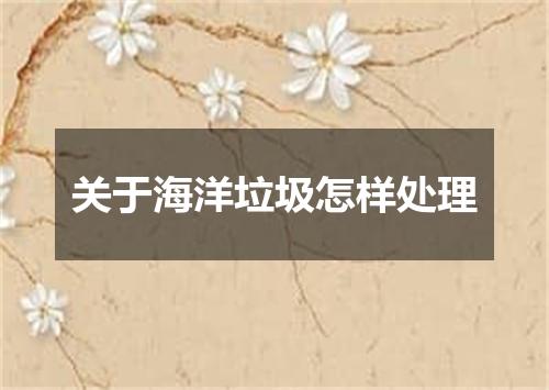 关于海洋垃圾怎样处理