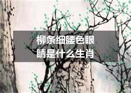 柳条细腰色眼睛是什么生肖