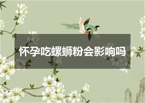 怀孕吃螺蛳粉会影响吗