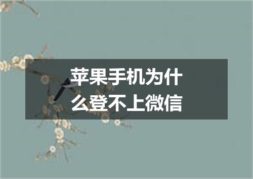 苹果手机为什么登不上微信
