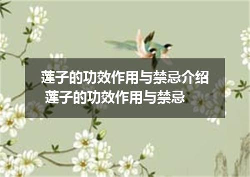 莲子的功效作用与禁忌介绍 莲子的功效作用与禁忌