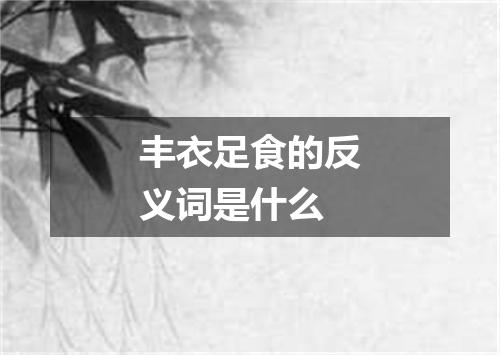 丰衣足食的反义词是什么