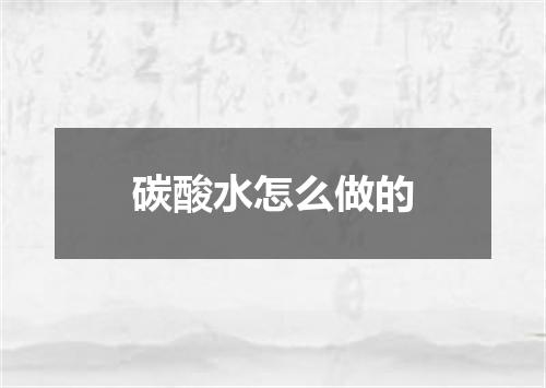 碳酸水怎么做的