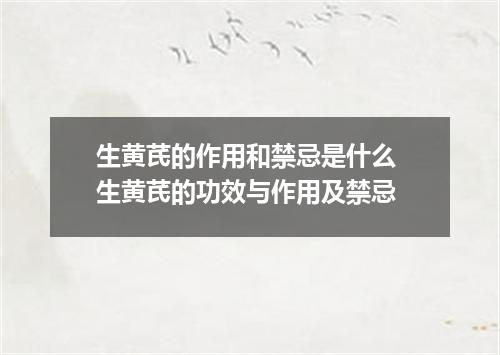 生黄芪的作用和禁忌是什么 生黄芪的功效与作用及禁忌