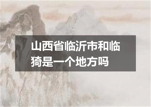 山西省临沂市和临猗是一个地方吗