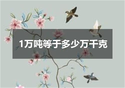 1万吨等于多少万千克