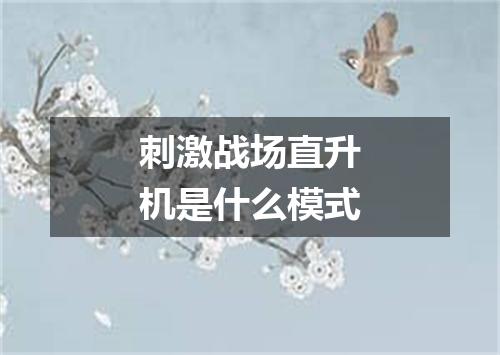 刺激战场直升机是什么模式