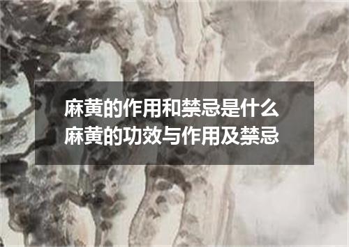 麻黄的作用和禁忌是什么 麻黄的功效与作用及禁忌