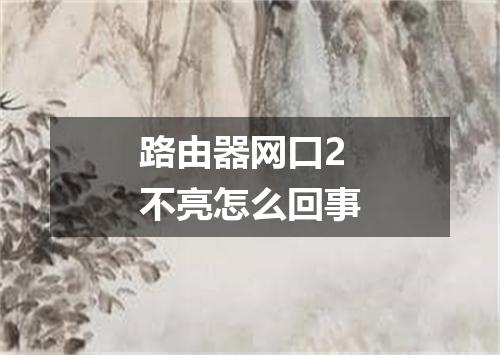 路由器网口2不亮怎么回事