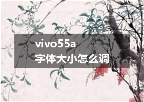 vivo55a字体大小怎么调