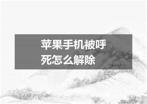 苹果手机被呼死怎么解除