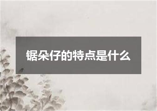 锯朵仔的特点是什么