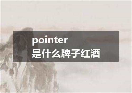 pointer是什么牌子红酒