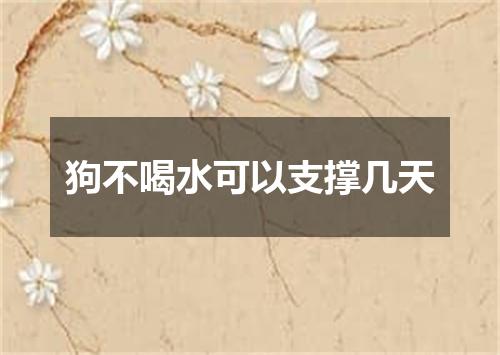 狗不喝水可以支撑几天