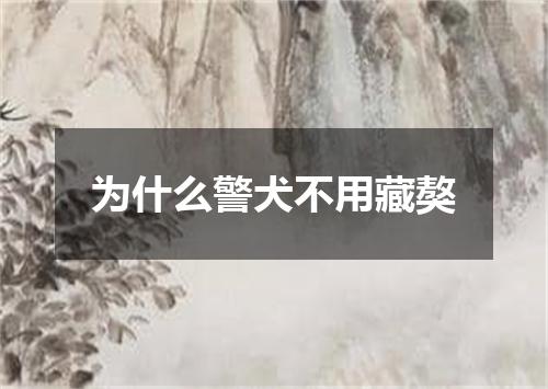 为什么警犬不用藏獒