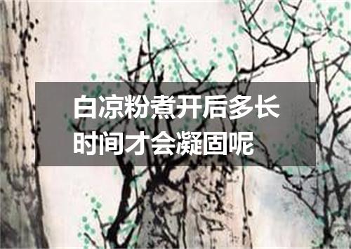 白凉粉煮开后多长时间才会凝固呢