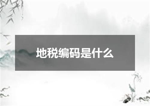 地税编码是什么