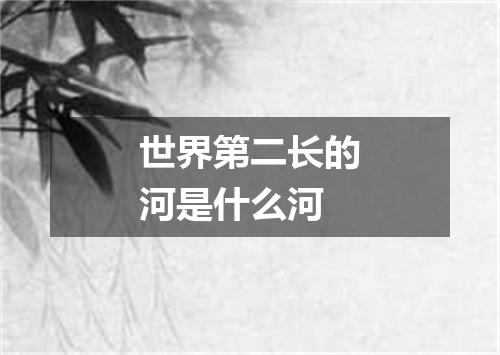 世界第二长的河是什么河