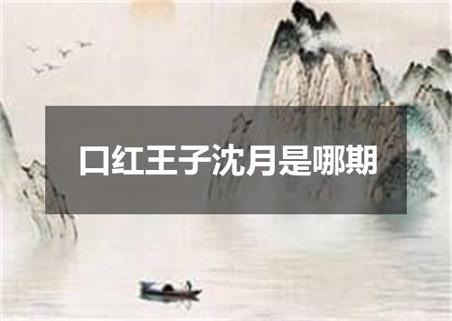 口红王子沈月是哪期