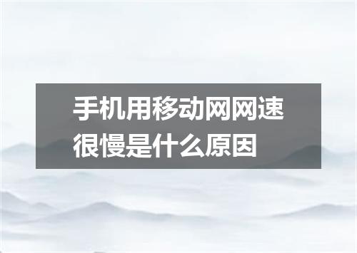 手机用移动网网速很慢是什么原因