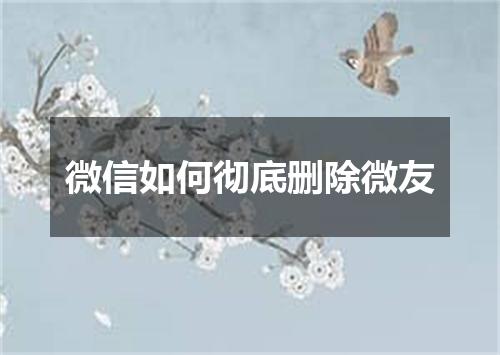 微信如何彻底删除微友