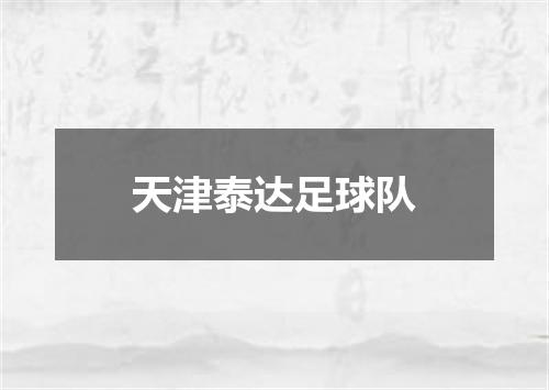 天津泰达足球队