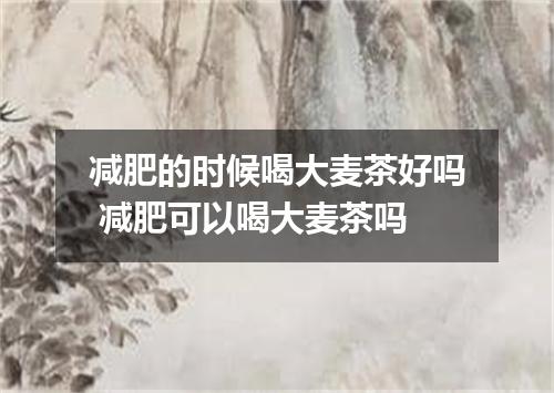 减肥的时候喝大麦茶好吗 减肥可以喝大麦茶吗